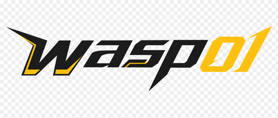 wasp01